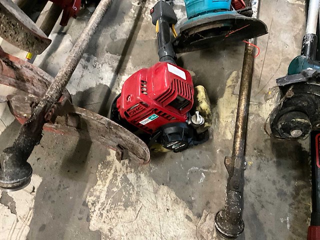 Partij bosmaaiers - afbeelding 4 van  11