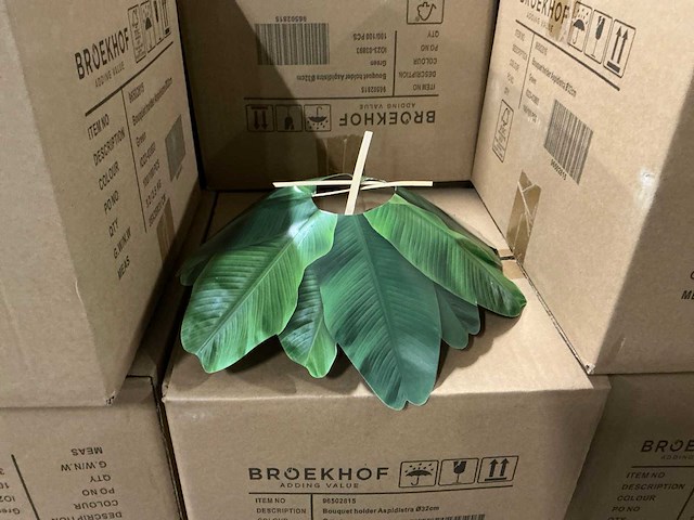 Partij bouquet holders aspidistra ø32cm green (3500x) - afbeelding 3 van  5