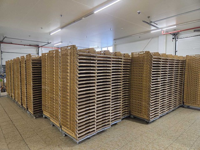 Partij broban broodkratten (5000x) - afbeelding 1 van  8