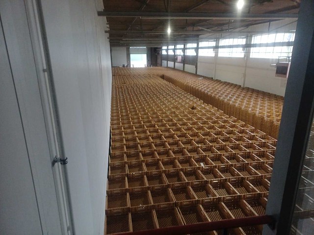 Partij broban broodkratten (5000x) - afbeelding 8 van  8