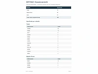 Partij brynxz | woonaccessoires - afbeelding 19 van  25