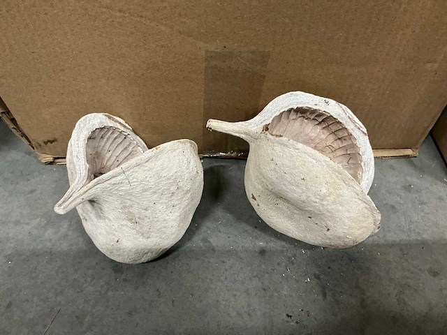 Partij buddha nuts (240x) - afbeelding 1 van  3