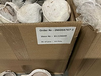 Partij buddha nuts (240x) - afbeelding 3 van  3