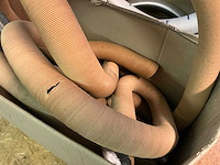 Partij buis - afbeelding 6 van  6