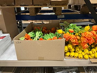 Partij bunch of tulips (58x) - afbeelding 2 van  4
