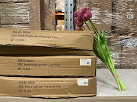 Partij bunch of tulips open 47cm purple (36x) - afbeelding 2 van  4