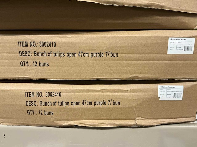 Partij bunch of tulips open 47cm purple (36x) - afbeelding 3 van  4