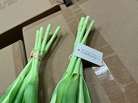 Partij bunch of tullips closed 39cm pink & purple 7/bun (115x) - afbeelding 3 van  5