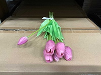 Partij bunch of tullips closed 39cm purple 7/bun (120x) - afbeelding 1 van  2