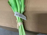 Partij bunch tulips closed 39cm purple 7/bun (60x) - afbeelding 2 van  4