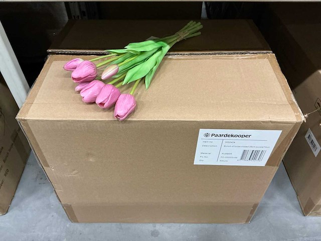 Partij bunch tulips closed 39cm purple 7/bun (60x) - afbeelding 3 van  4