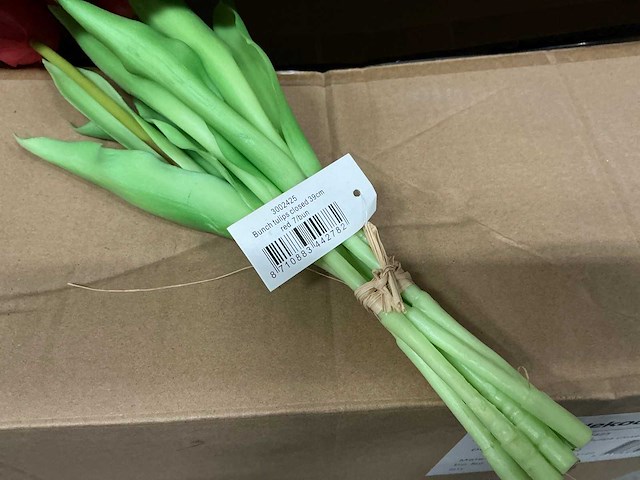 Partij bunch tulips closed 39cm red 7/bun (60x) - afbeelding 1 van  5