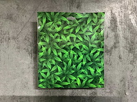 Partij canna scrub (2000x) - afbeelding 2 van  3