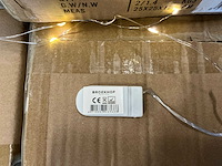 Partij christmas light 10 lamps white + button battery warm white led (5400x) - afbeelding 2 van  4