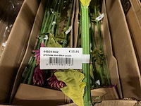 Partij coco maison artichoke stem 80cm purple (168x) - afbeelding 2 van  4
