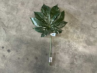 Partij coco maison fatsia leaf h55cm green (240x) - afbeelding 1 van  1