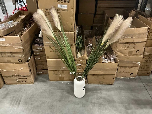 Partij coco maison pampas grass 120cm (84x) - afbeelding 1 van  5