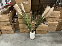 Partij coco maison pampas grass 120cm (84x) - afbeelding 1 van  5