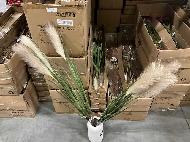 Partij coco maison pampas grass 120cm (84x) - afbeelding 2 van  5