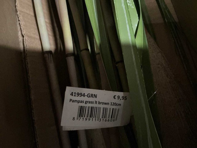 Partij coco maison pampas grass 120cm (84x) - afbeelding 3 van  5