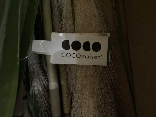 Partij coco maison pampas grass 120cm (84x) - afbeelding 4 van  5