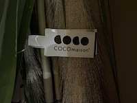 Partij coco maison pampas grass 120cm (84x) - afbeelding 4 van  5