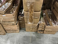 Partij coco maison pampas grass h115cm (174x) - afbeelding 1 van  4