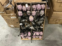 Partij coco maison protea h63cm (72x) - afbeelding 1 van  4