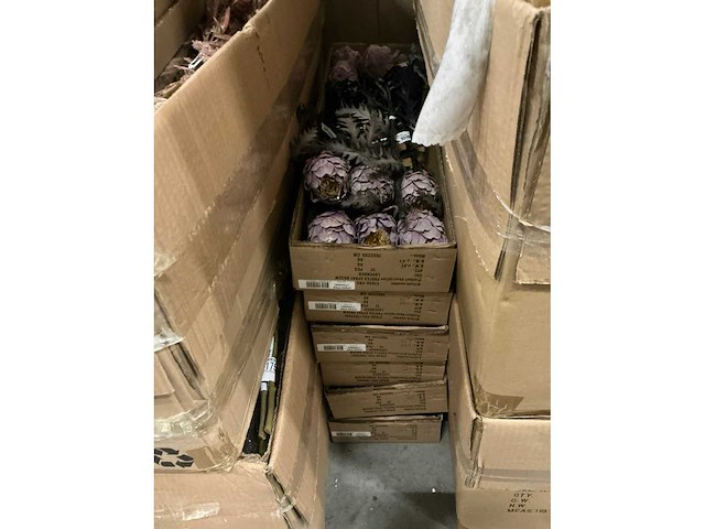 Partij coco maison protea h63cm (72x) - afbeelding 4 van  4