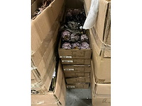 Partij coco maison protea h63cm (72x) - afbeelding 4 van  4