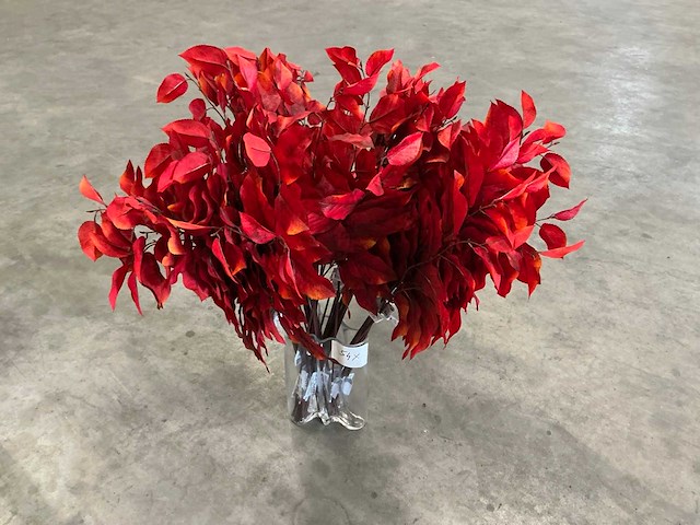 Partij coco maison salal leaf red 75cm (54x) - afbeelding 1 van  4