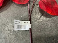 Partij coco maison salal leaf red 75cm (54x) - afbeelding 4 van  4