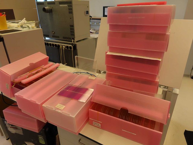 Partij color displays - afbeelding 9 van  21