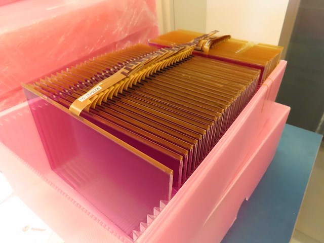 Partij color displays - afbeelding 17 van  21