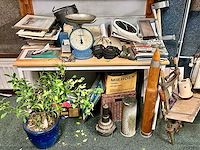 Partij curiosa - afbeelding 1 van  8