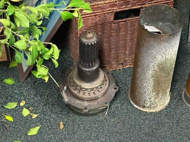 Partij curiosa - afbeelding 3 van  8