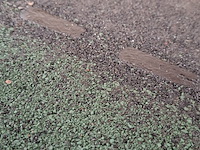 Partij dakshingles - afbeelding 4 van  4