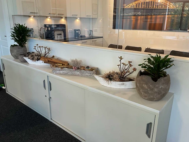 Partij decoratie en kamerplanten - afbeelding 1 van  6