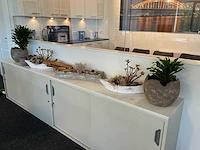 Partij decoratie en kamerplanten