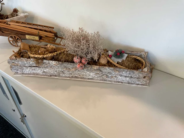 Partij decoratie en kamerplanten - afbeelding 3 van  6
