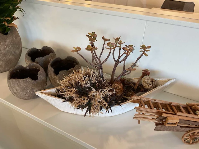 Partij decoratie en kamerplanten - afbeelding 5 van  6