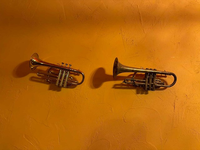 Partij decoratie instrumenten (vastgeschroefd) - afbeelding 2 van  5