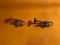 Partij decoratie instrumenten (vastgeschroefd) - afbeelding 2 van  5