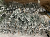 Partij decoratie kerstboompjes on stick (468x) - afbeelding 4 van  5