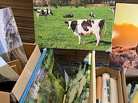 Partij decoratie schilderijen - afbeelding 6 van  10