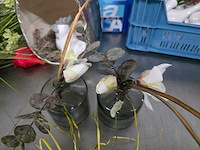 Partij decoratie - afbeelding 6 van  6