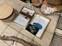 Partij decoratie - afbeelding 5 van  7