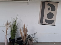 Partij decoratie - afbeelding 1 van  7