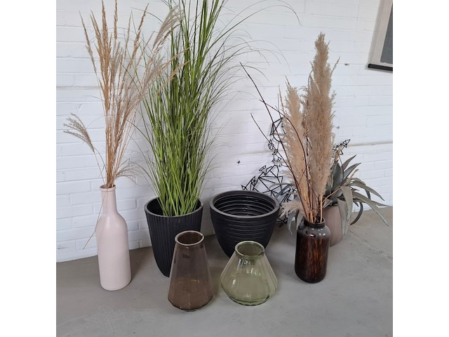 Partij decoratie - afbeelding 2 van  7