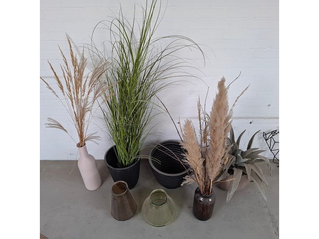 Partij decoratie - afbeelding 7 van  7